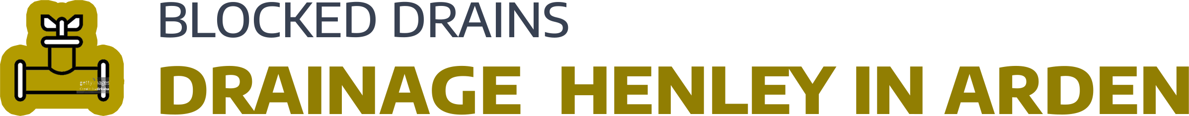 website logo